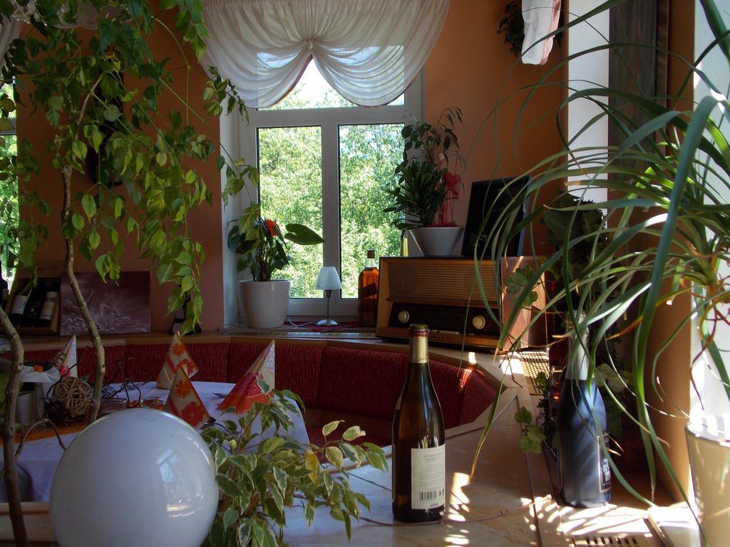 Landhotel Weisses Roess'L Adorf Экстерьер фото