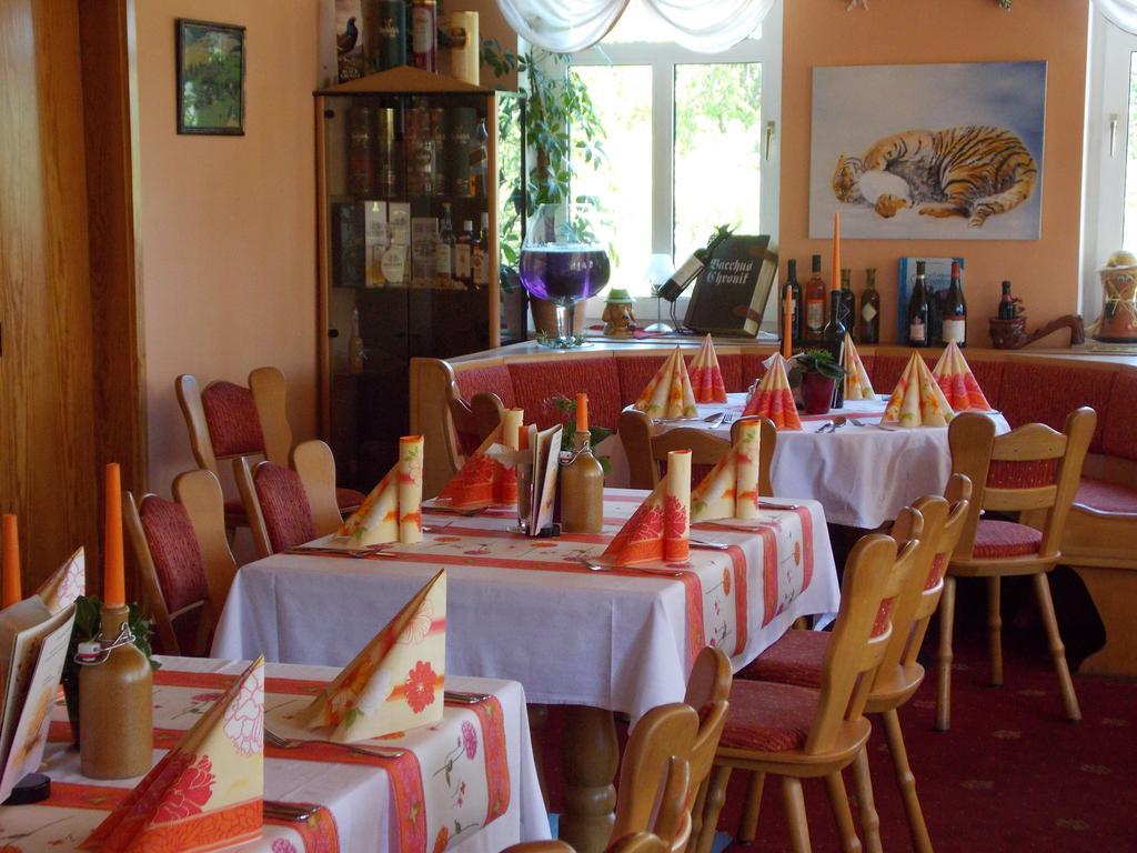 Landhotel Weisses Roess'L Adorf Экстерьер фото